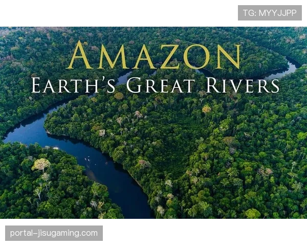 影视联动：亚马逊宣布制作以2024年欧冠决赛为原型的体育纪录片系列